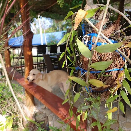 Glorias Panglao Inn 1 エクステリア 写真